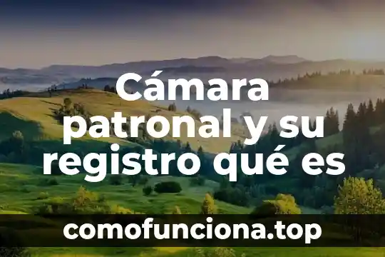 Que es el registro de movimiento financiero 3 CƔmara patronal y su registro quƩ es