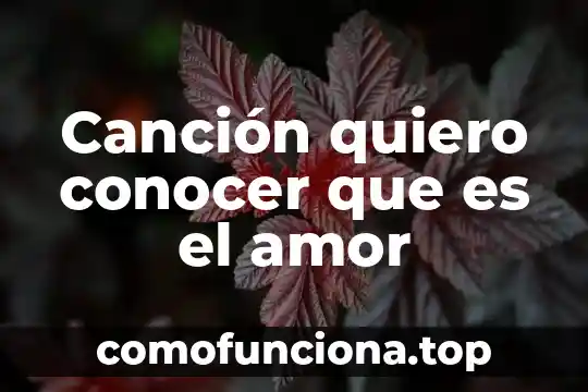 Quiero investigar que es una metáfora 3 Canción quiero conocer que es el amor