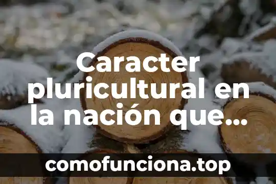 Estado nación que es 4 Caracter pluricultural en la nación que es