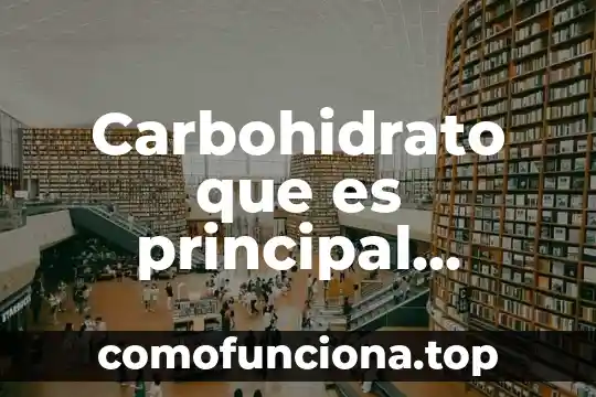 Que es informacion y cual es su principal caracteristica 8 Carbohidrato que es principal fuente de energ铆a de la c茅lula