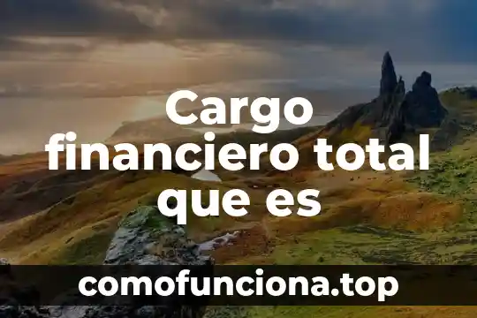 Qué es producto total en economía 4 Cargo financiero total que es