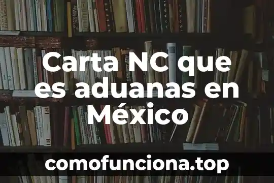 Que es un individuo en etica y valores 5 Carta NC que es aduanas en México