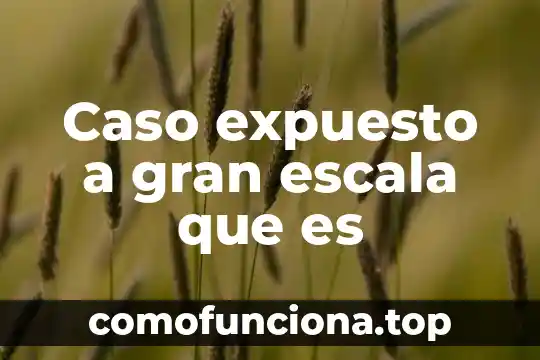 Que es metodo cientifico historia 4 Caso expuesto a gran escala que es