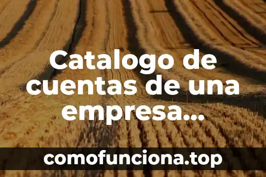 Por que es importante un catalogo de productos 8 Catalogo de cuentas de una empresa industrial que es