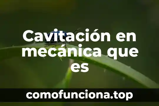 Qué es mangueta en mecánica 5 Cavitación en mecánica que es