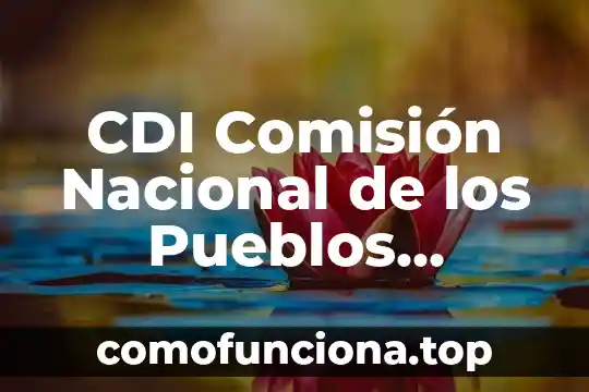 Significado de que es un problema a nivel nacional 7 CDI Comisión Nacional de los Pueblos Indígenas que es