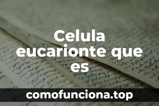 Que es ribosomas d la celula animal 7 Celula eucarionte que es