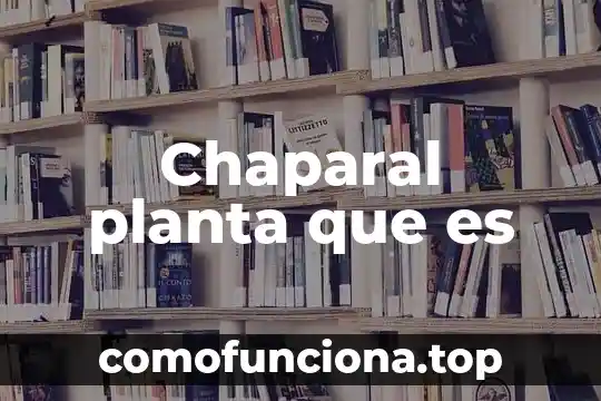 Que es un puan planta 4 Chaparal planta que es