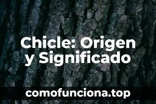 Que es un texto significado de un libro 6 Chicle: Origen y Significado