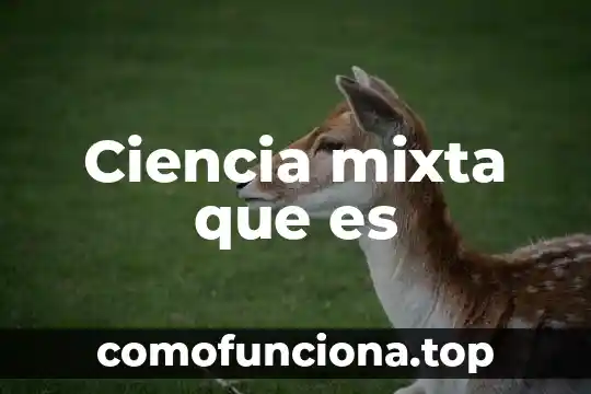 Que es una consideracion en arquitectura 6 Ciencia mixta que es