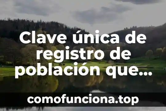 Que es el concepto compensacion nacional unica 4 Clave única de registro de población que es
