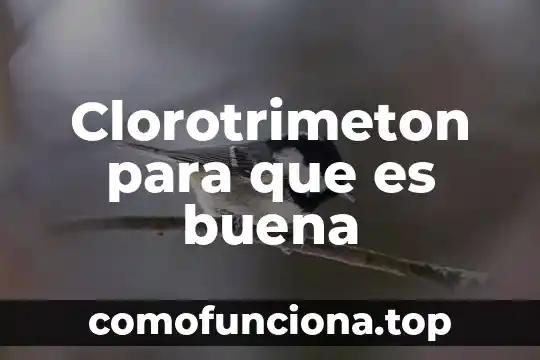 Que es neoclasisismo arquitectura 6 Clorotrimeton para que es buena