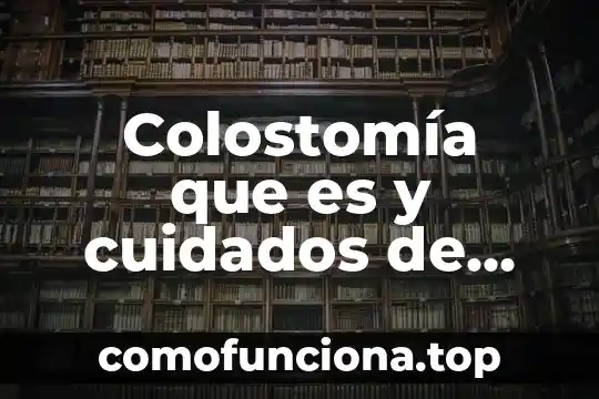 Cuidados de planta que es un palo 8 Colostomía que es y cuidados de enfermería