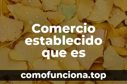 Stocking que es comercio internacional 5 Comercio establecido que es