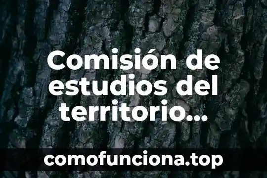 Que es lic en estudios socioterritoriales 3 Comisión de estudios del territorio nacional que es