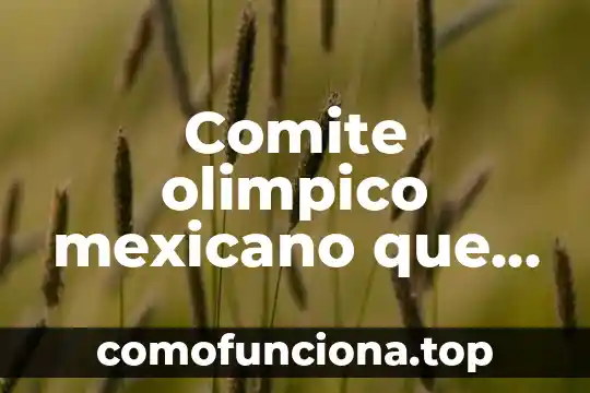 Que es ser mexicano para niños 8 Comite olimpico mexicano que es