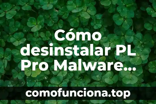Qué es un programas asistencialista 5 Cómo desinstalar PL Pro Malware, qué es Facebook Auda y cómo eliminar programas maliciosos