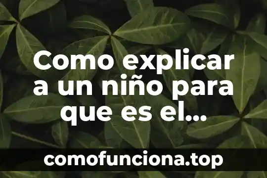 Cómo explicar a un niño que es el conocimiento 5 Como explicar a un niño para que es el directorio telefónico