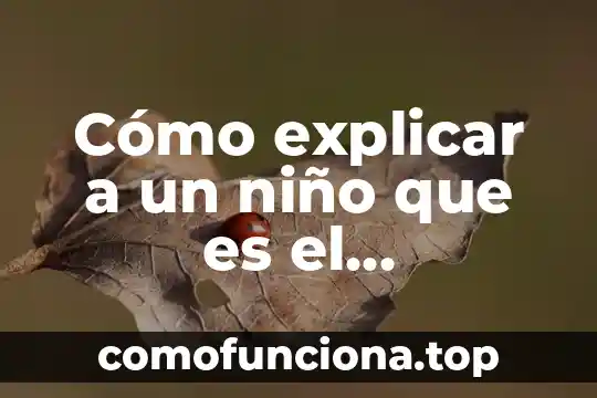 Como explicar a un niño para que es el directorio telefónico 5 Cómo explicar a un niño que es el conocimiento
