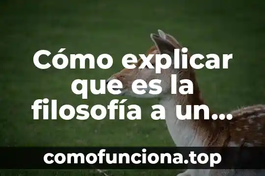 Cómo explicar a un niño que es el conocimiento 3 Cómo explicar que es la filosofía a un niño