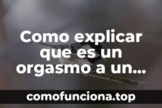 Cómo explicar a un niño que es el conocimiento 4 Como explicar que es un orgasmo a un niño