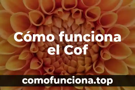 Que es y como funciona un reloj de sol 7 Cómo funciona el Cof