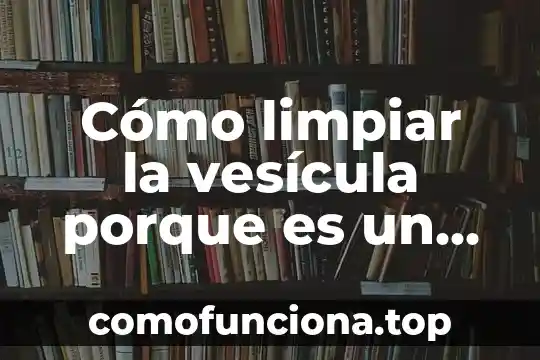 Qué es el órgano del ser humano 6 Cómo limpiar la vesícula porque es un órgano sagrado