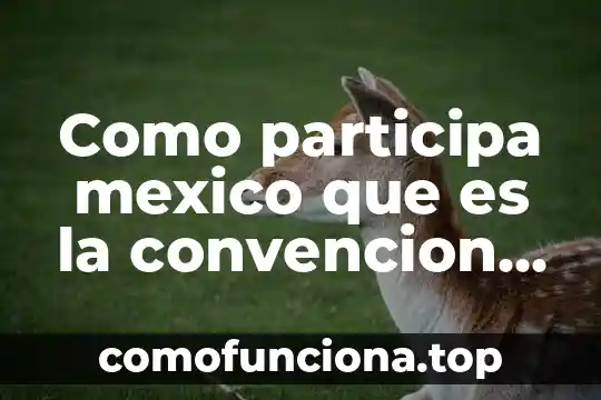 Que es la convención de los derechos de la niñez 5 Como participa mexico que es la convencion de viena