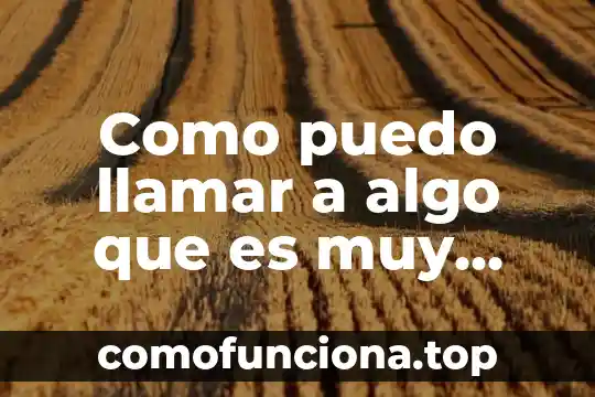 Persona que es muy curiosa 3 Como puedo llamar a algo que es muy común
