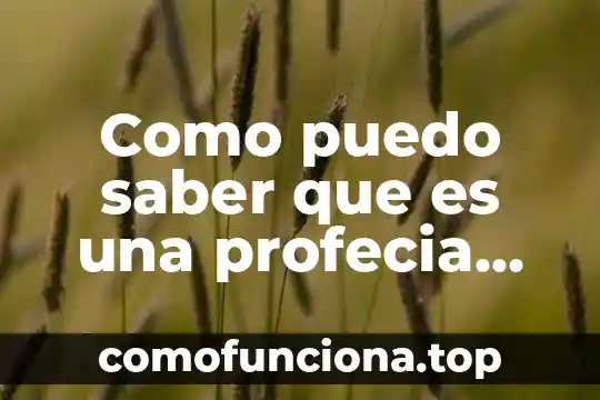 Afrodita dios de que es 8 Como puedo saber que es una profecia de dios