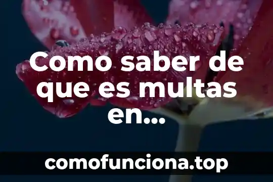 Que es la libertad y que demanda este derecho 4 Como saber de que es multas en aguascalientes