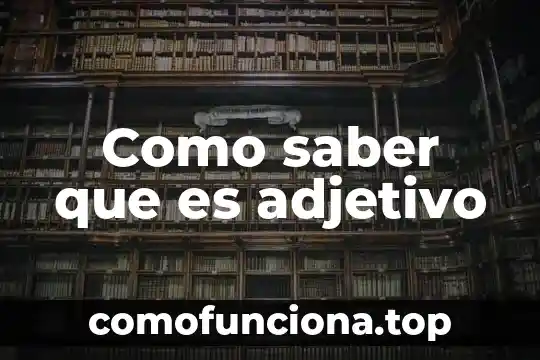 Qué es el artículo, pronombre, adjetivo, nombre o sustantivo 5 Como saber que es adjetivo
