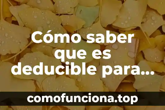 Qué es el número de ID de mi INE 3 Cómo saber que es deducible para mi actividad