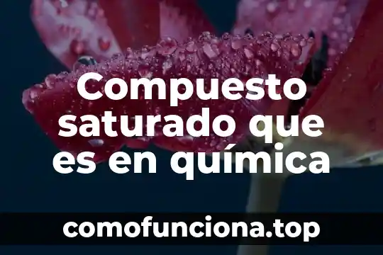 Quimica que es una pipeta volumetrica 6 Compuesto saturado que es en química