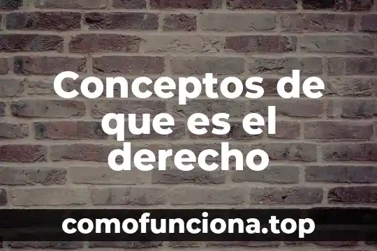 En derecho qué es un principio 3 Conceptos de que es el derecho