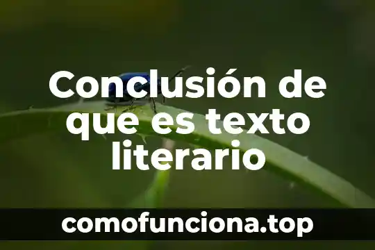 Información de que es un genero literario 5 Conclusión de que es texto literario