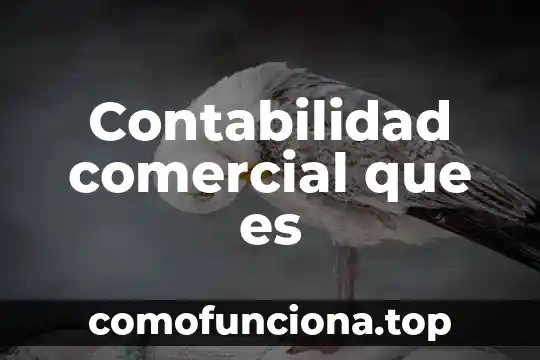 Que es u nombre comercial 6 Contabilidad comercial que es