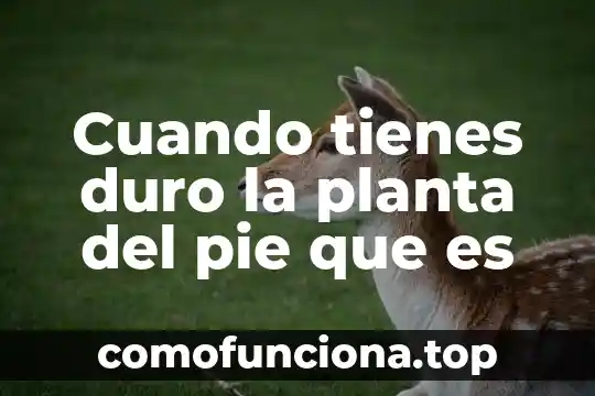 Que es el conductismo y cuando se desarrollo 7 Cuando tienes duro la planta del pie que es