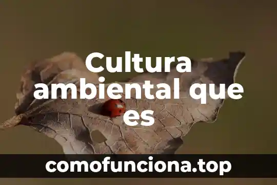 Que es la ontologia cultura 6 Cultura ambiental que es