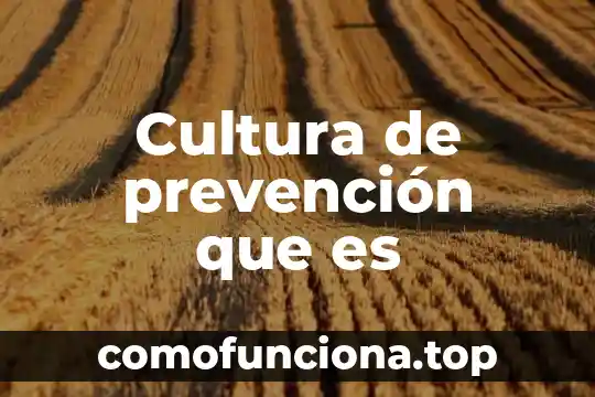 Que es una implicaciones en la cultura organizacional 4 Cultura de prevención que es