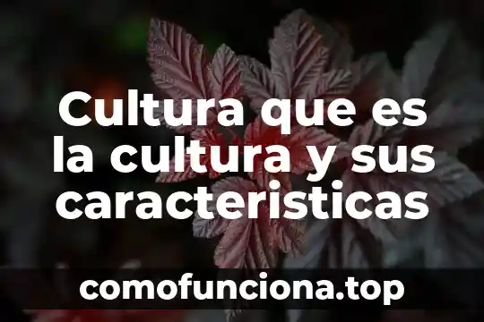 Que es y cultura 5 Cultura que es la cultura y sus caracteristicas
