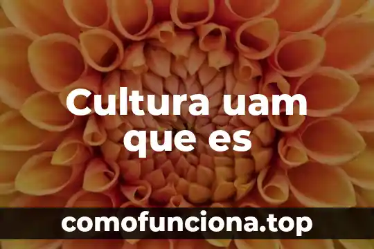 Que es la cultura ambiental y para que sirve 8 Cultura uam que es