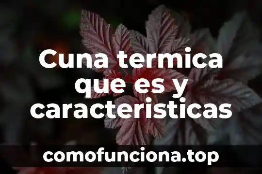 Que es microsoft project caracteristicas 8 Cuna termica que es y caracteristicas