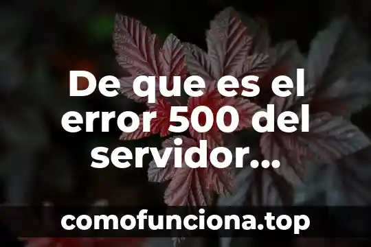 Que es h en los valores densitometricos 3 De que es el error 500 del servidor interno