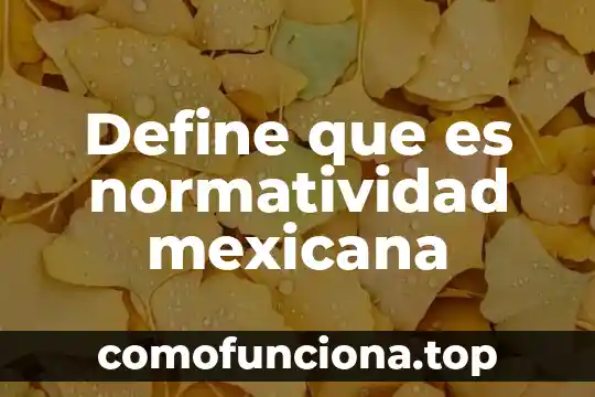 Define que es el teclado del computador 7 Define que es normatividad mexicana