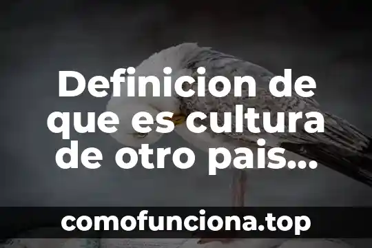 Que es una implicaciones en la cultura organizacional 7 Definicion de que es cultura de otro pais para niños