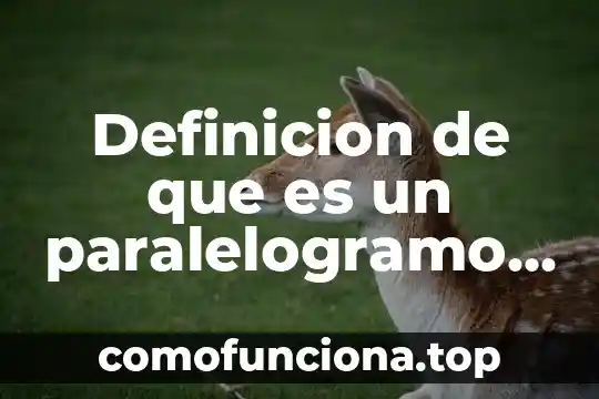 Qué es un percance definición 3 Definicion de que es un paralelogramo fisica