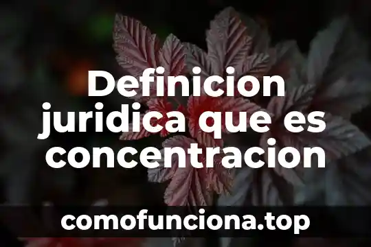Que es inotropico definicion 3 Definicion juridica que es concentracion