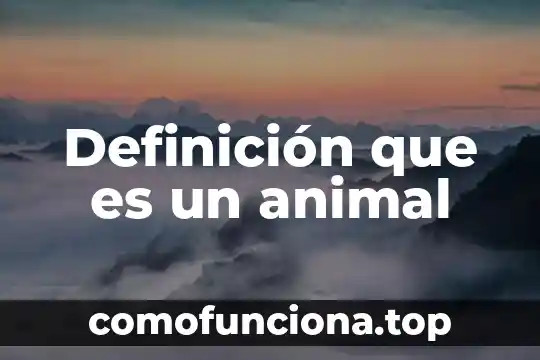 Que es un animal koala 8 Definición que es un animal