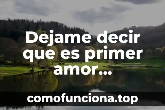 Qué es el arte japonés 3 Dejame decir que es primer amor traduccion japones